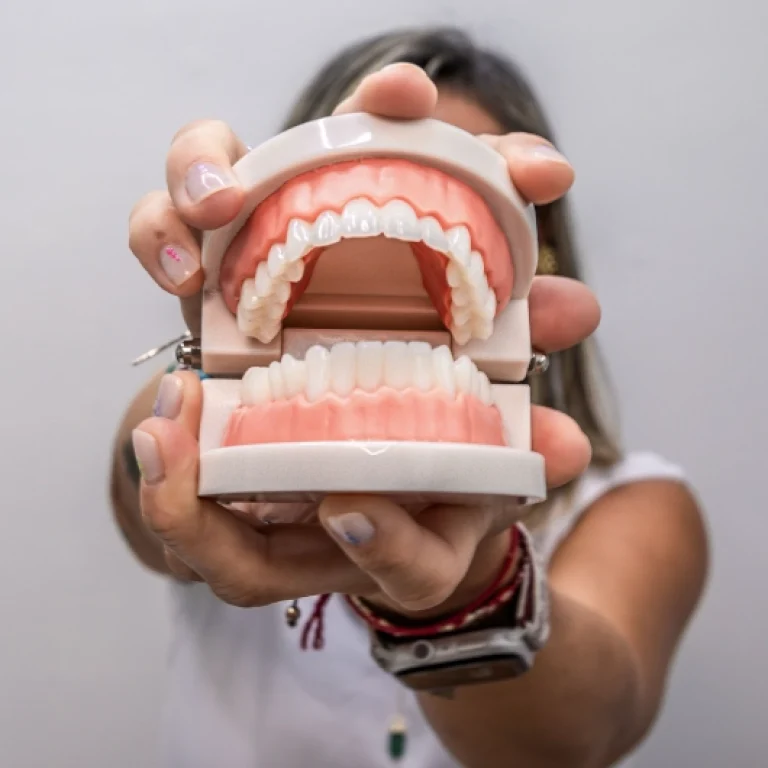 Restauraciones dentales Tikkun Dental Pro